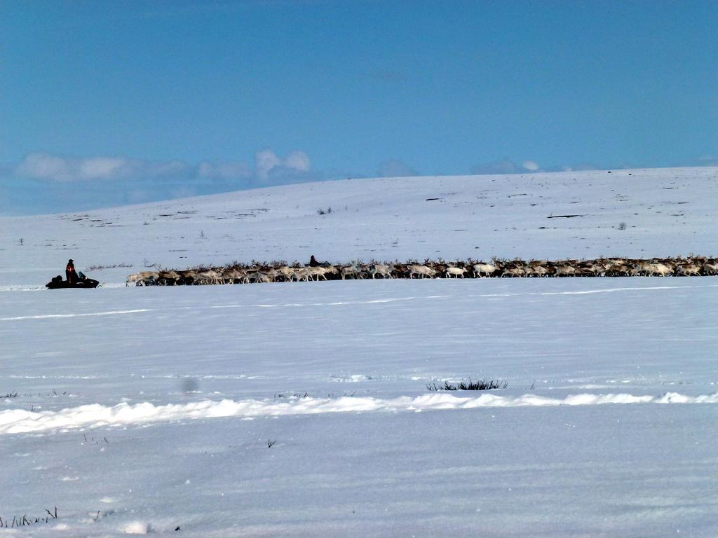 Jergul Astu Villa Karasjok Bagian luar foto